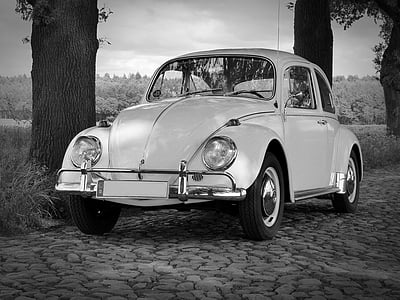 white Volkswagen Beetle thumbnail