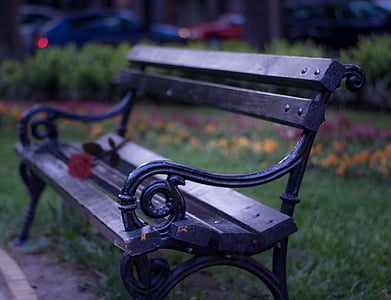 tilt-shift photography of black metal bench on grass field near flowers thumbnail