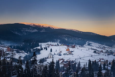 cold, snow, dawn, landscape thumbnail
