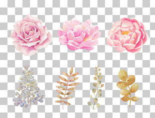 Pink flowers Pink flowers Watercolor painting, Hand-painted pink watercolor flowers, three pink roses and peonies PNG clipart