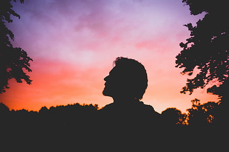 silhouette of man standing near trees thumbnail