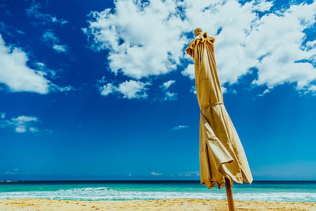 Brown Umbrella on Seashore thumbnail
