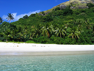 clear sky over beach shore thumbnail