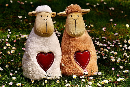 two brown sheep plush toys on white aster flower field thumbnail