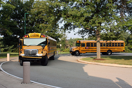two orange school bus on road near trees at daytime thumbnail