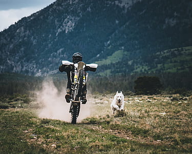 man riding motocross dirt bike with medium short-coated white dog running thumbnail