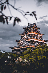 black and brown building beside green tree thumbnail