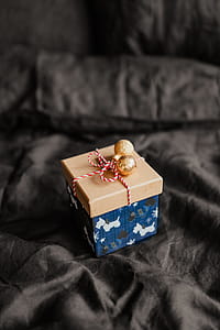 Christmas gifts for a cute little dog thumbnail