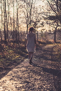 woman walking on pathway between trees thumbnail