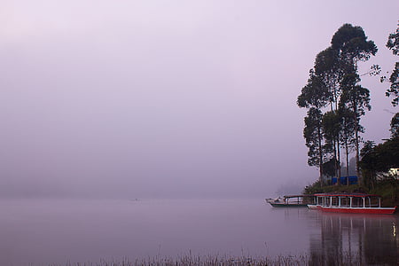 photo of red boat near trees thumbnail