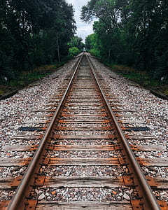 photo of brown train rail surrounded by green trees thumbnail