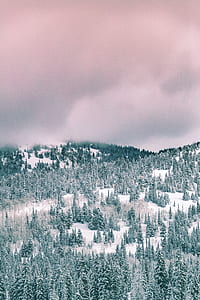 mountain covered with snow and fog thumbnail
