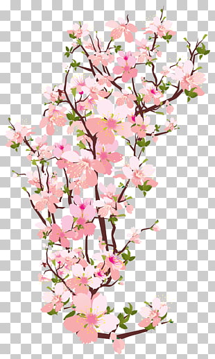 Branch Tree , Spring Tree Branch Transparent , pink cherry blossom flowers illustration PNG clipart