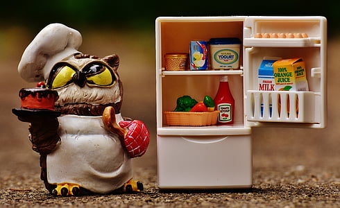 brown owl chef figurine near white plastic refrigerator toy thumbnail