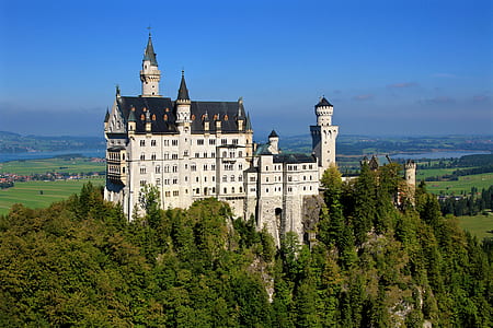 castle surrounded by trees thumbnail