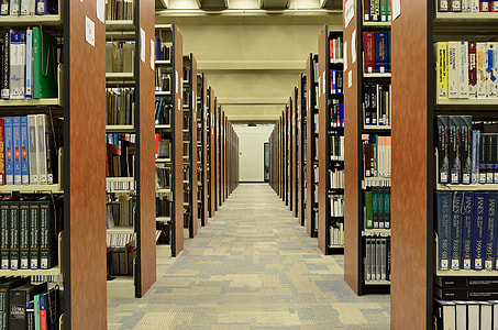 photography of hallway in library thumbnail