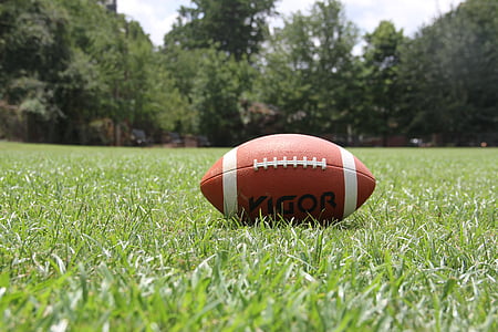 brown and white football on green grass field during daytime thumbnail
