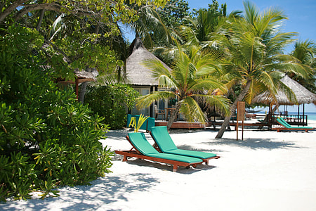 green lounge chairs surrounded by trees during daytime thumbnail