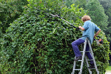 man sitting on A-frame ladder outdoors thumbnail