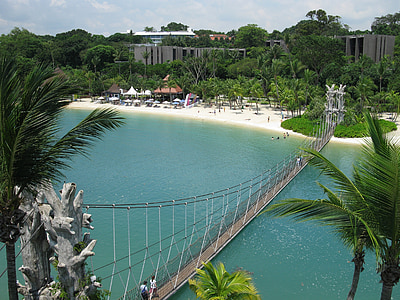 people crossing bridge near trees during daytime thumbnail