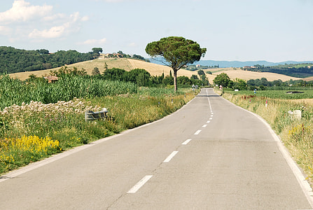 road and green grass field thumbnail
