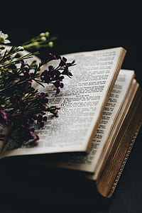 purple petaled flowers on opened book thumbnail