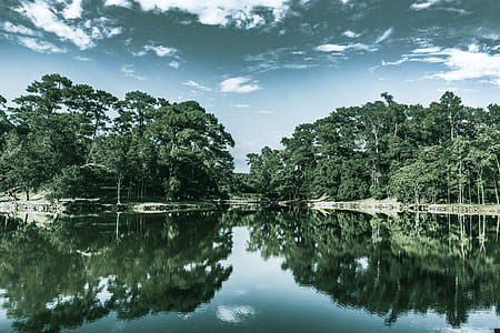 river and trees thumbnail