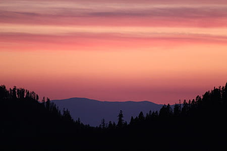 silhouette of tree under orange cloudy sky thumbnail