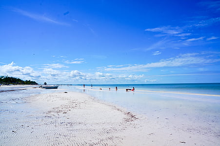 group of people on seashore under blue and gray skies thumbnail