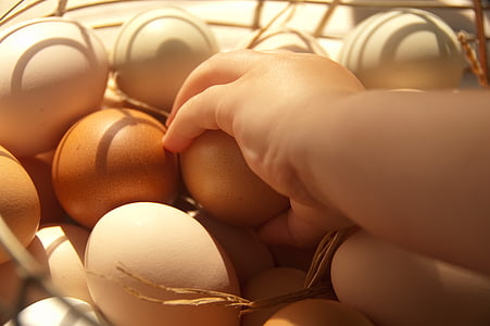 person holding egg thumbnail