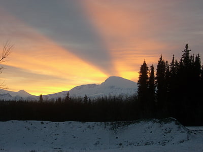 landscape photography of mountain and trees thumbnail