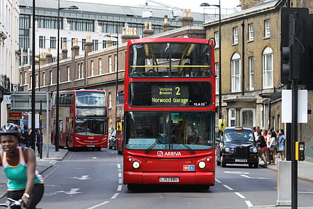 double-decker bus on road thumbnail