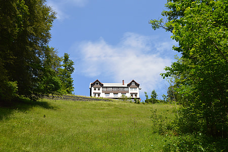 House In The Green, Summer Holiday thumbnail