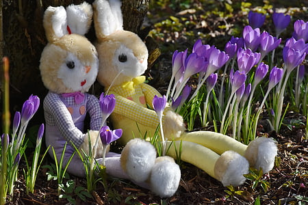 two yellow rabbit plush toys thumbnail