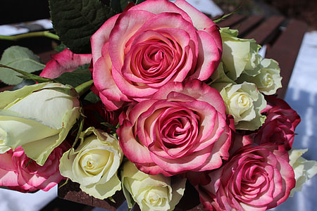 Bouquet Of Roses, Pink Roses thumbnail