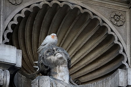 gray woman statue with white pigeon on top thumbnail