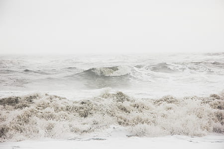 white sea thumbnail