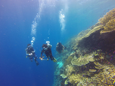 three men diving thumbnail