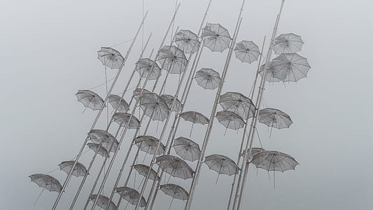 white umbrella lot thumbnail