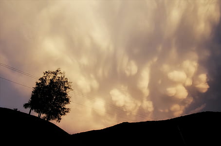 silhouette of tree on hill during night time thumbnail
