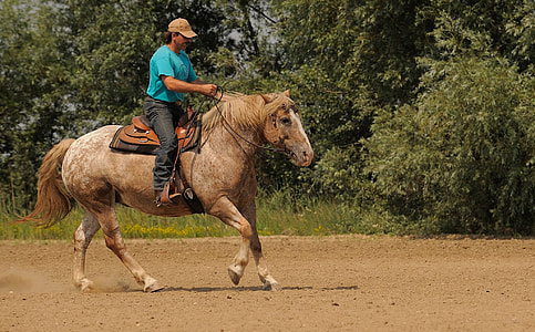 man riding horse thumbnail