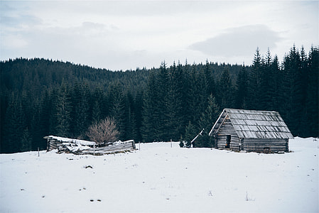 snowy mountain thumbnail