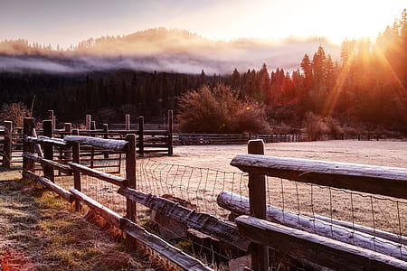 brown wooden fence thumbnail