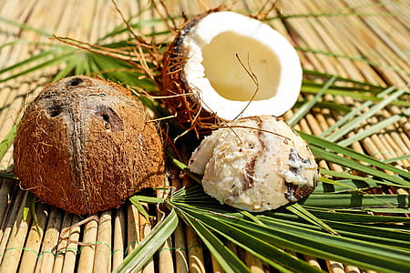 Coconut shell with leaves thumbnail