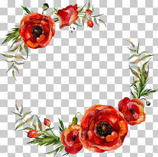 Poppy Flowers Illustration, watercolor flower leaf decoration, red poppies digital photo frame PNG clipart