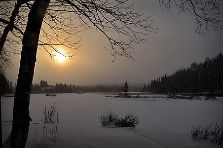 silhouette of leafless trees surrounded by snow thumbnail