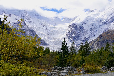 photo of mountain and forest thumbnail