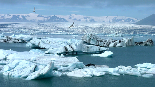 white ice berg at daytime thumbnail