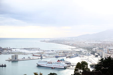 white cruise ship sailing on body of water near city thumbnail