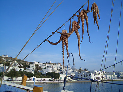 four brown octopus hanged on rope thumbnail
